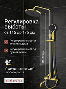 Душевая система Esbano DS Daisy ESDSDAIS-DSSG цвет Брашированное золото-1
