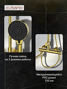 Душевая система Esbano DS Daisy ESDSDAIS-DSSG цвет Брашированное золото-4
