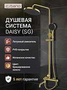 Душевая система Esbano DS Daisy ESDSDAIS-DSSG цвет Брашированное золото