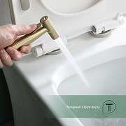 Гигиенический душ со смесителем Splenka S221.52.03 цвет Золото матовое-4