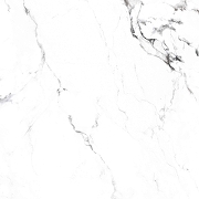 Керамогранит Arcadia Ceramica Borghini Silver CR4006-A белый карвинг 60х60 см-14
