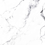 Керамогранит Arcadia Ceramica Borghini Silver CR4006-A белый карвинг 60х60 см-15