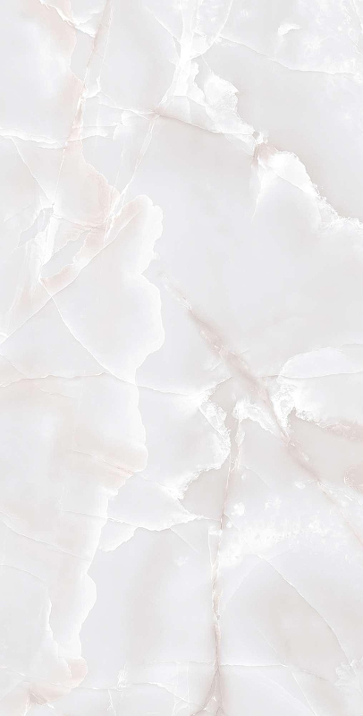 Керамогранит Arcadia Ceramica Primo Onyx Grey FP1017-A светло-серый полированный 