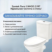 Унитаз-компакт Santek Лига 1.WH30.2.197 с бачком и сиденьем-3