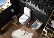 Биде Aquanet Cetus B1 203354 цвет Белый-8